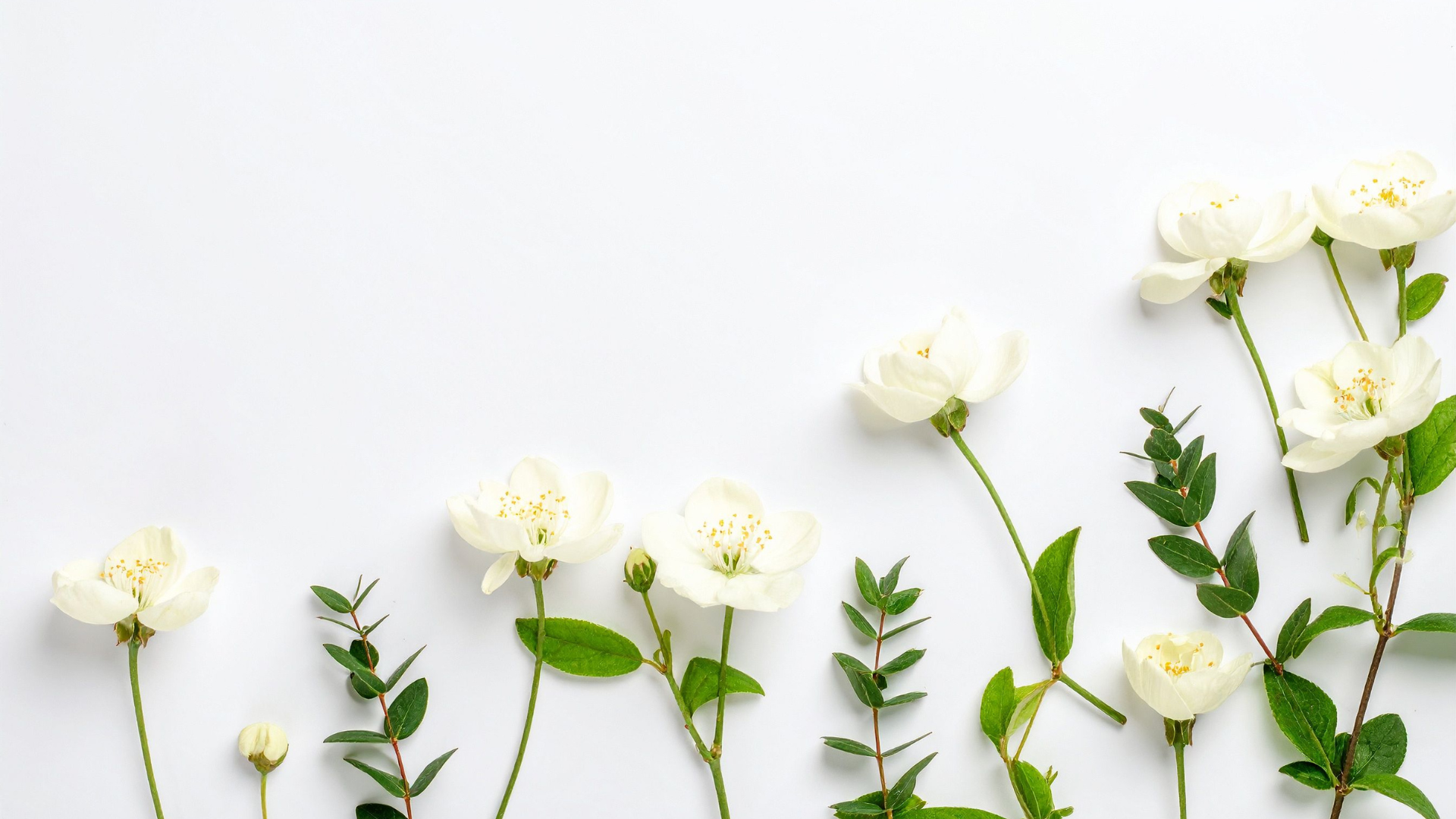 Le Brow Plume et le Dual Blush-Lit MI-RÊ Cosmetics : vos essentiels pour un effet bonne mine cet hiver