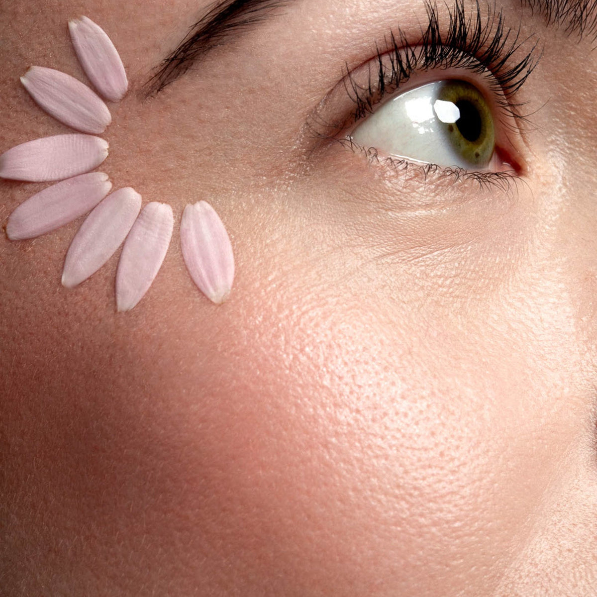 La poudre dual I Blush & Highlighter